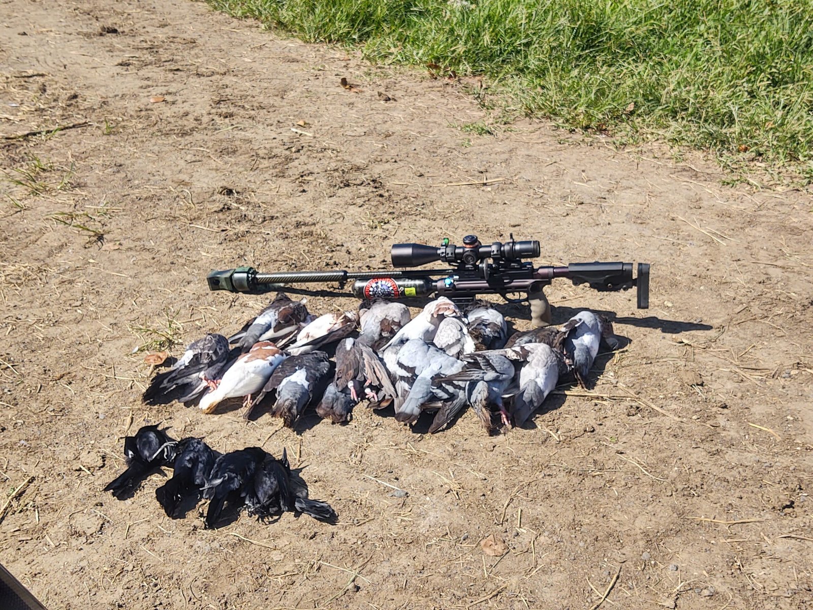 IMG_20220317_152201036_HDR